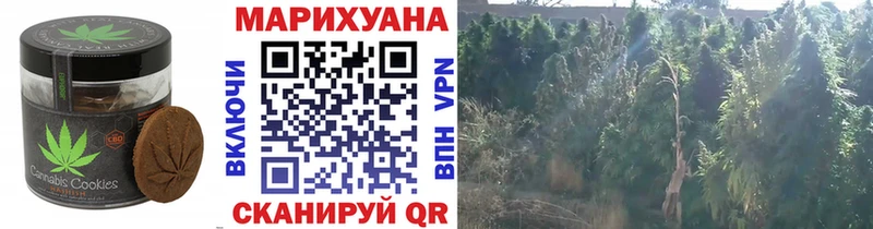 Печенье с ТГК конопля  где купить наркотик  ОМГ ОМГ онион  Санкт-Петербург 