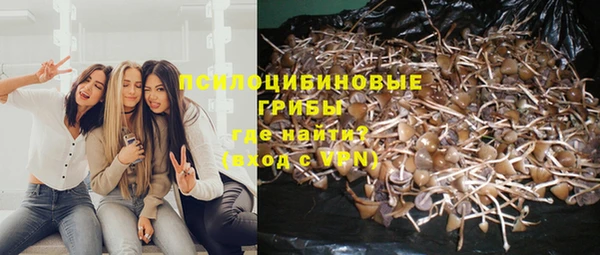 трава Богданович