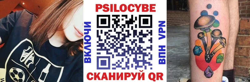 KRAKEN   Санкт-Петербург  Галлюциногенные грибы Psilocybe 